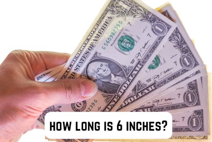 10 things that are 6 inches long