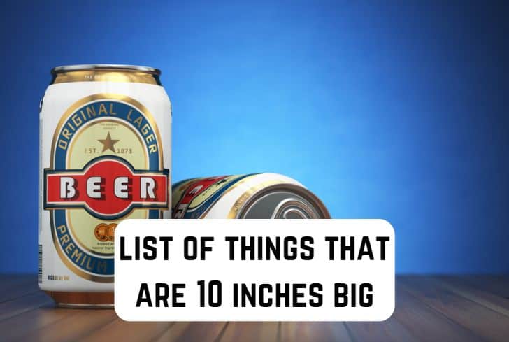 10 Common Things That are 10 Inches Big