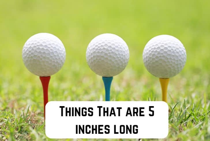 11 Common Useful Things That are 5 Inches Long (With pictures)